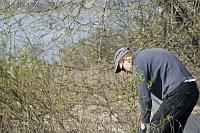 paljasaare_teeme2008 015